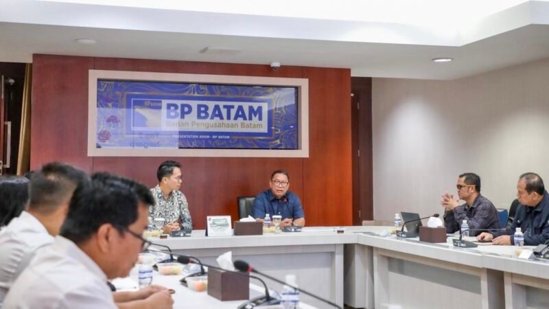 Anggota/Deputi Bidang Investasi dan Pengusahaan BP Batam, Fary Francis, menjelaskan bahwa PMDN jadi penggerak utama pertumbuhan investasi Batam.